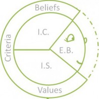 /album/nlp/structure-of-the-subjective-experience-1-jpg/